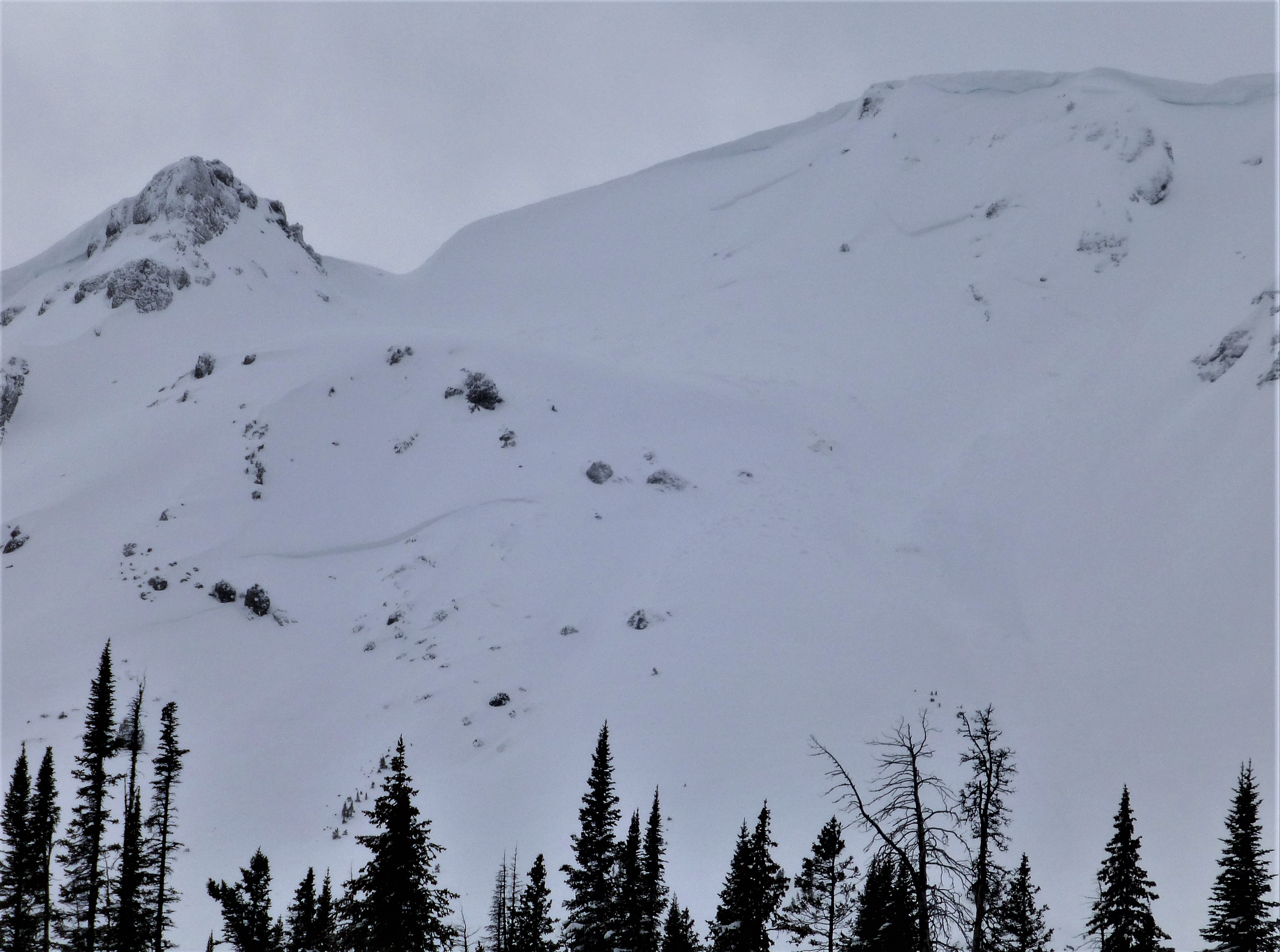 Cooke City Avalanches - 3/10/17 Cooke City Avalanches - 3/10/17